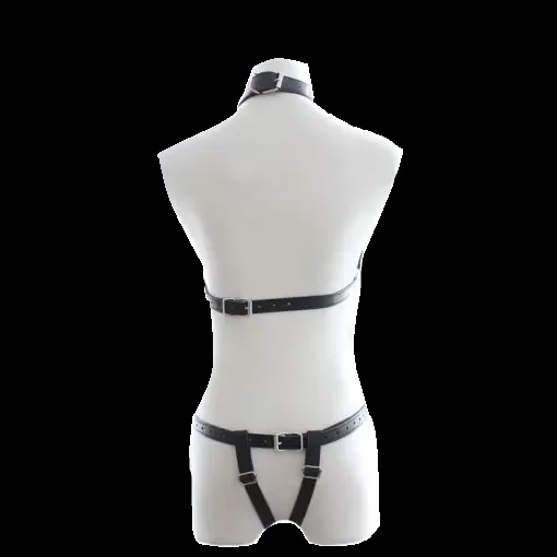 bra-and-panty-set.1