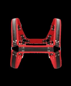 Buckle Bulldog Harness