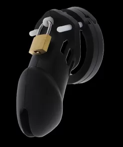 Chastity Cock Cage Long - Hidden Desire