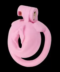 Sissy Trainer Cock Lock